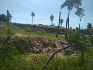 Deodápolis - Pecuarista é multado por degradações ambientais em áreas protegidas