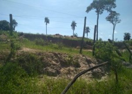Deodápolis - Pecuarista é multado por degradações ambientais em áreas protegidas