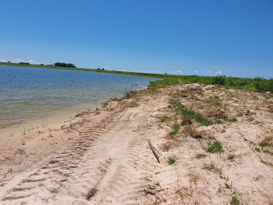 Polícia Militar Ambiental de Batayporã autua paulista em R$ 10 mil por degradação de mata ciliar de lagoa natural para plantio de soja