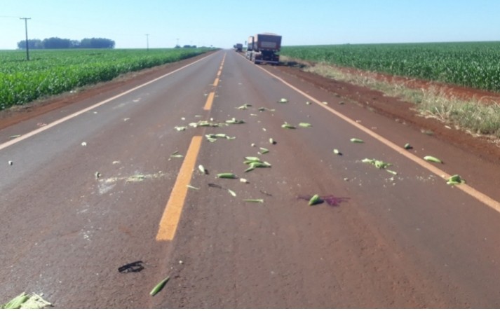 Idoso morto em acidente na BR 267 teria invadido a pista sendo atingido por carreta