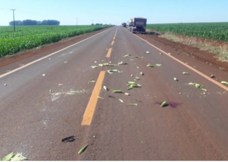 Idoso morto em acidente na BR 267 teria invadido a pista sendo atingido por carreta