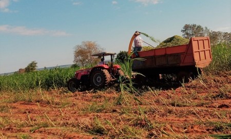 PREFEITURA DE NOVO HORIZONTE DO SUL AUXILIA NA PRODUÇÃO DE SILAGEM