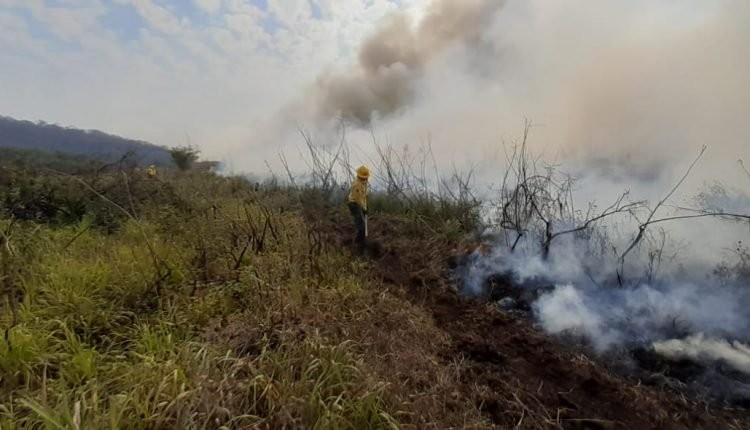Queimadas no Pantanal já destruíram 821 mil hectares, estima Ibama-MS