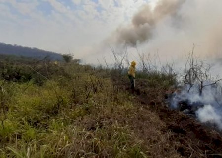 Queimadas no Pantanal já destruíram 821 mil hectares, estima Ibama-MS