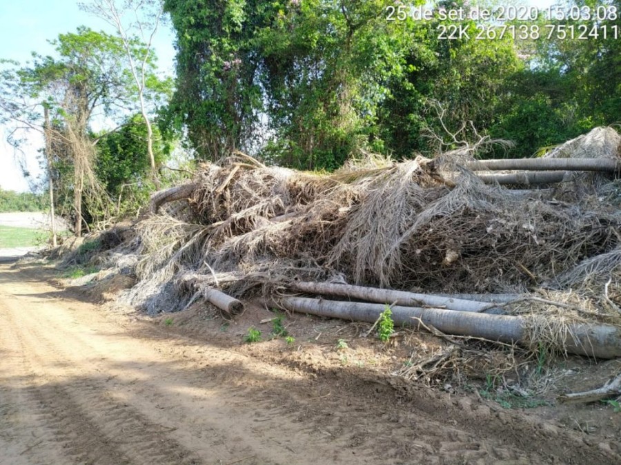 Polícia Militar Ambiental de Batayporã usa imagem de satélite e autua paranaense em R$ 21 mil por desmatamento ilegal de áreas protegidas em sua propriedade no município