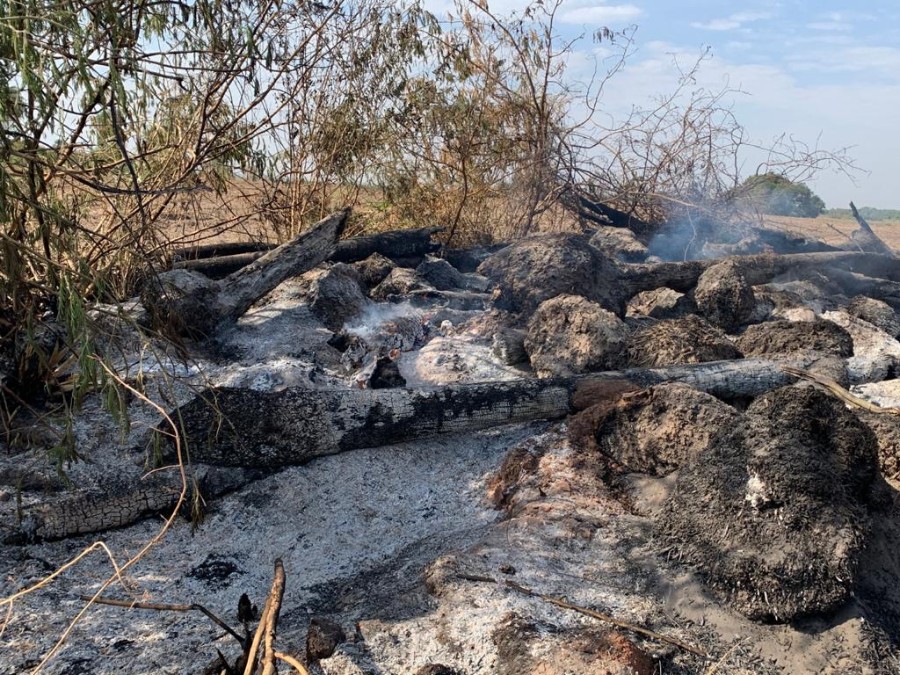 Polícia Militar Ambiental de Batayporã autua arrendatário em R$ 6 mil por exploração de vegetação nativa ilegalmente e incêndio