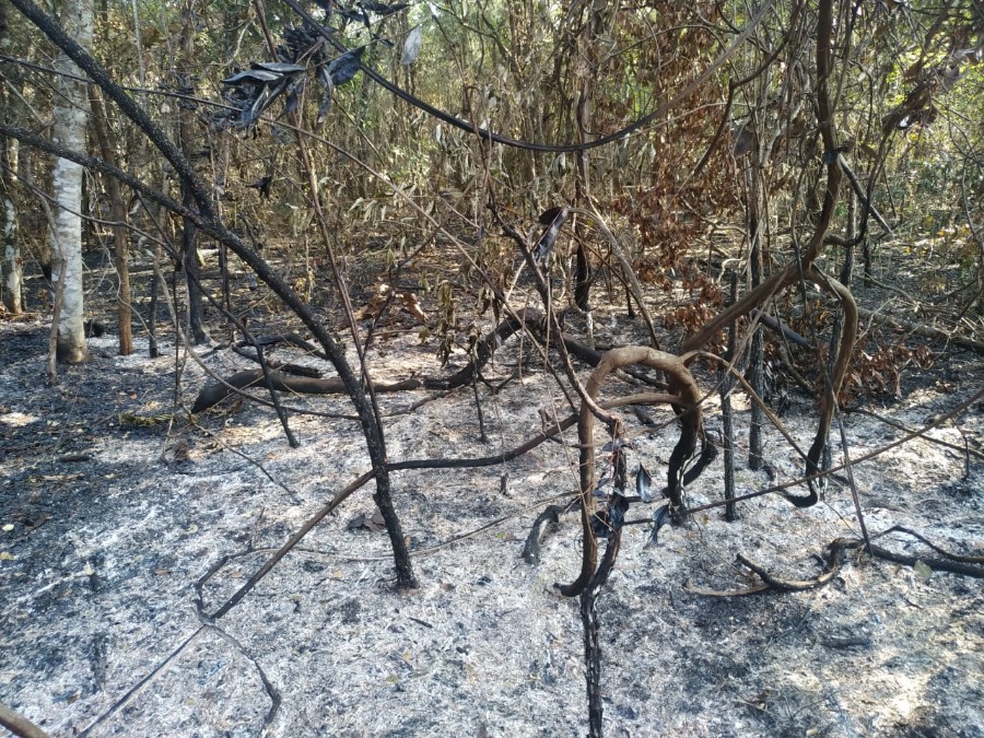 Polícia Militar Ambiental de Batayporã autua infratora em R$ 381 mil por incêndio