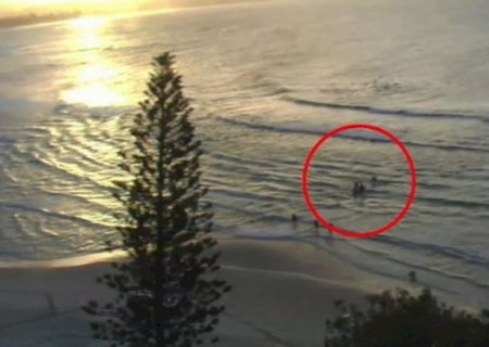 Surfista morre após ataque de tubarão na Austrália perto de praia do Circuito Mundial