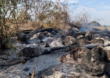 Polícia Militar Ambiental de Batayporã autua arrendatário em R$ 6 mil por exploração de vegetação nativa ilegalmente e incêndio