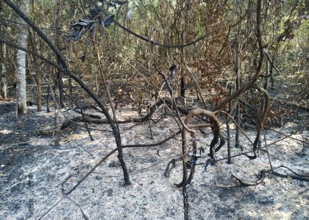 Polícia Militar Ambiental de Batayporã autua infratora em R$ 381 mil por incêndio