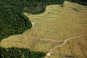 Estrangeiros já são donos de quase 4 milhões de hectares no Brasil; portugueses e japoneses lideram