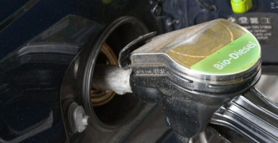 Soja: mudanças podem quebrar o setor de biodiesel do país, diz Abiove