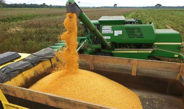 China importou 1.142% mais milho em relação a novembro de 2019
