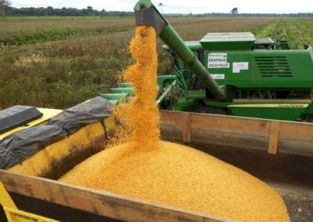China importou 1.142% mais milho em relação a novembro de 2019