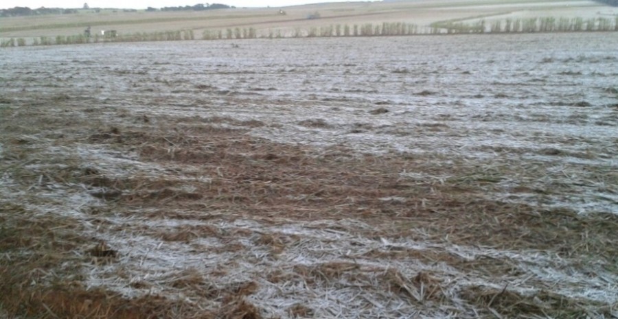 La Niña pode favorecer a ocorrência de geada em Mato Grosso do Sul
