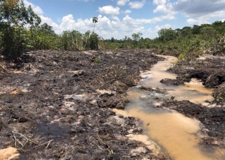 Polícia Militar Ambiental autua dono de lotes de assentamento em R$ 10 mil por degradação de leito e matas ciliares córrego