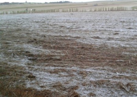 La Niña pode favorecer a ocorrência de geada em Mato Grosso do Sul