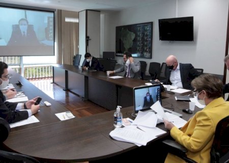 No Senado, Tereza Cristina fala em regularizar 130 mil terras em 2021