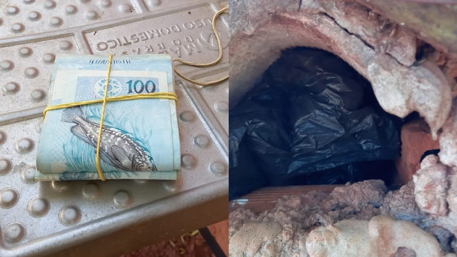 NOVO HORIZONTE DO SUL: Polícia identifica autores e recupera mais de R$ 7mil furtado em residência