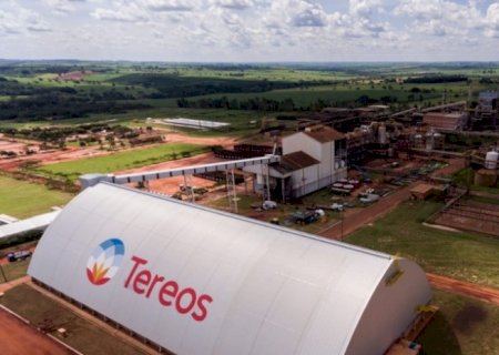 Agronegócio segue aquecido e abre porta de entrada para o mercado de trabalho