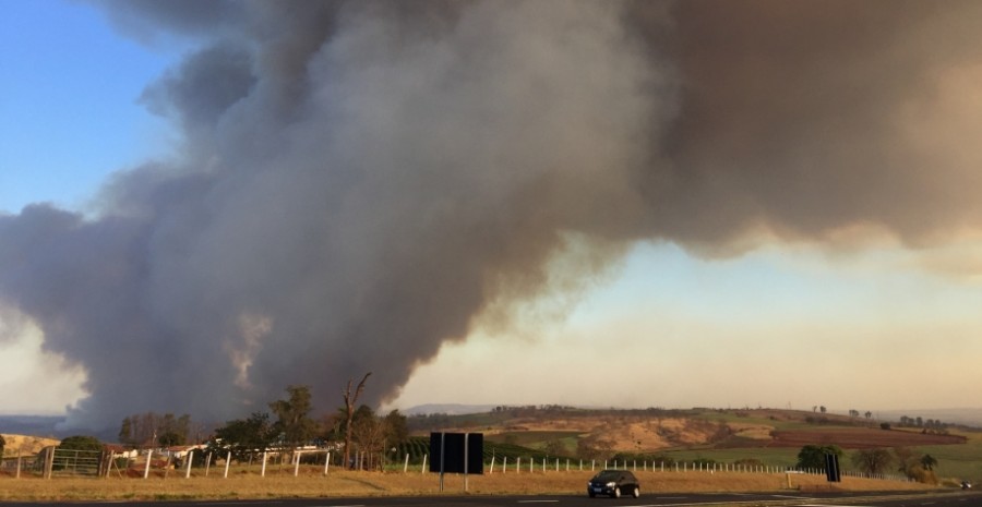 Bitucas de cigarros e atos criminosos são os maiores responsáveis pelos incêndios em áreas de cana-de-açúcar
