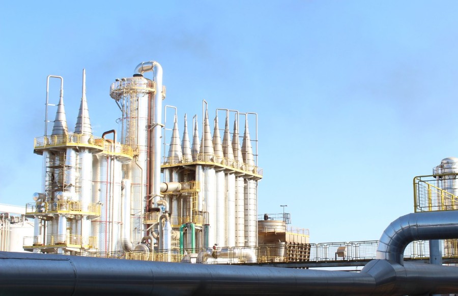 Setor sucroenergético reforça saldo industrial de emprego em MS com 1,3 mil novos postos de trabalho entre janeiro e maio