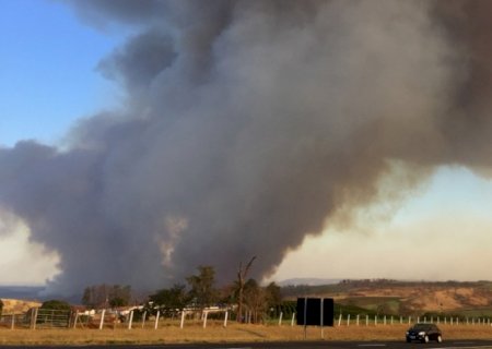 Bitucas de cigarros e atos criminosos são os maiores responsáveis pelos incêndios em áreas de cana-de-açúcar