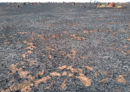 Polícia Militar Ambiental de Anaurilândia autua arrendatário em R$ 52 mil por incêndio em pastagem