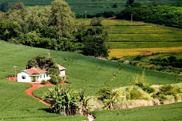 Inmet lança aplicativo sobre previsão do tempo para produtor rural