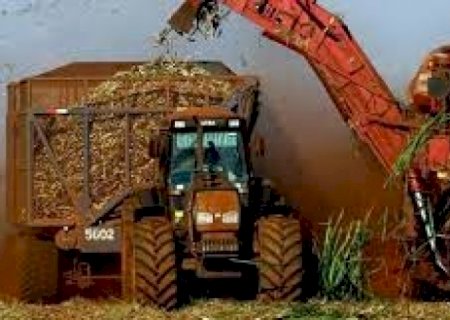 Colheita brasileira de cana na temporada 2021/22 é a menor em dez anos