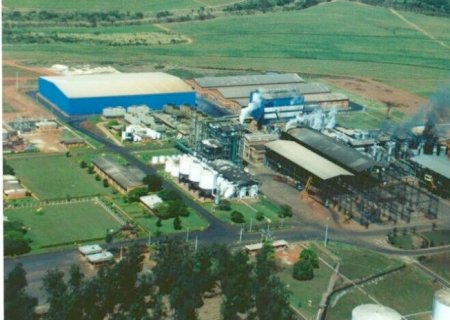 BP Bunge Bioenergia quer mais cana de fornecedores. Confira as razões