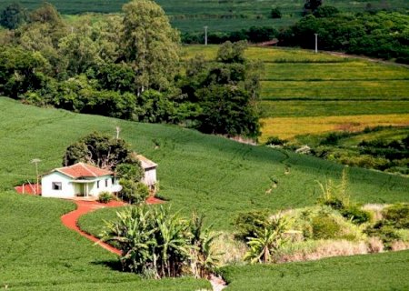 Inmet lança aplicativo sobre previsão do tempo para produtor rural