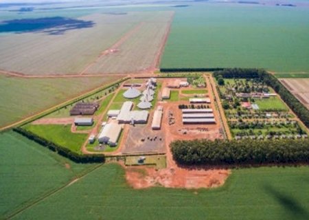 LUCRO DO REI DA SOJA SOBE PARA R$ 447,2 MILHÕES