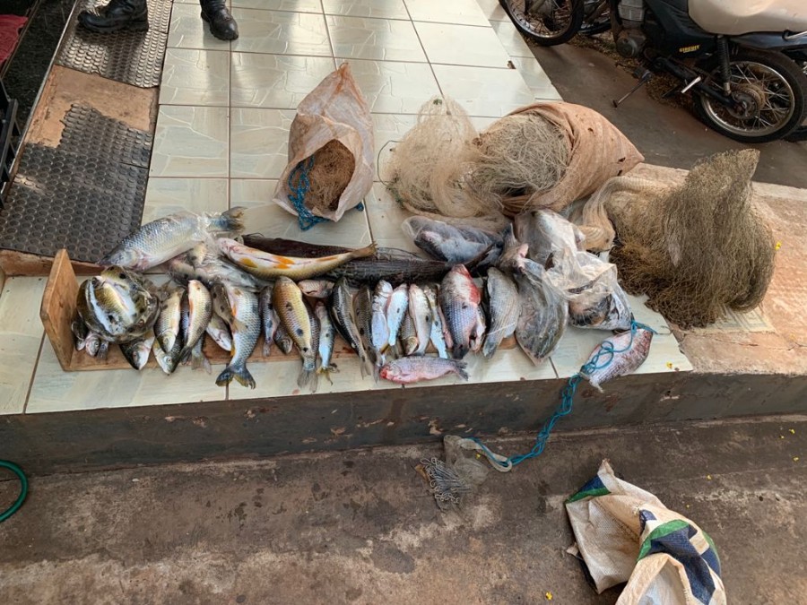 PMA de Dourados prende e autua em R$ 2 mil dono de rancho por pesca predatória e apreende 40 kg