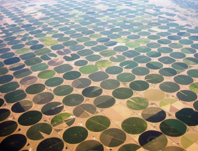 ARÁBIA SAUDITA MOSTRA QUE NÃO EXISTE LIMITES PARA AGRICULTURA