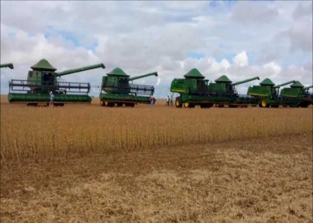 Sorriso (MT) lidera valor da produção agrícola em 2020; confira o ranking