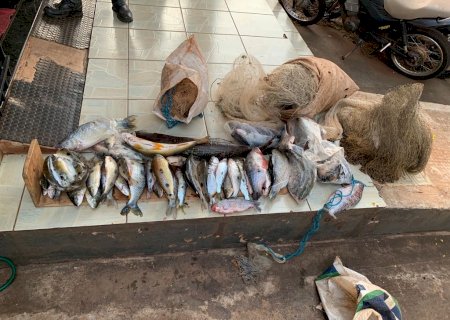 PMA de Dourados prende e autua em R$ 2 mil dono de rancho por pesca predatória e apreende 40 kg