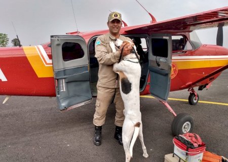 Bombeiros intensificam buscas por trabalhador que está desaparecido há uma semana no Pantanal