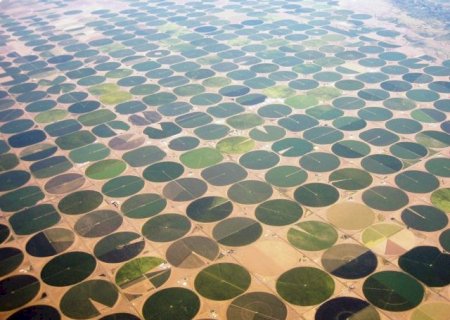 ARÁBIA SAUDITA MOSTRA QUE NÃO EXISTE LIMITES PARA AGRICULTURA