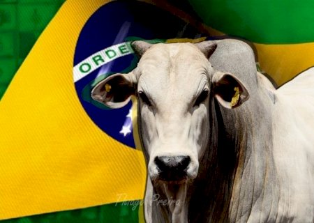 Comunismo - China compra 60% da carne brasileira.