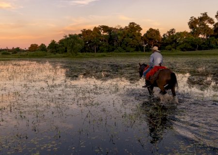 Peão morre após acidente com égua em fazenda