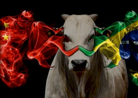 CHINA “RECUSA” A CARNE DO BRASIL E LIGA SINAL VERMELHO