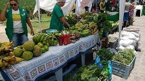Agricultura familiar abastece mais de 70% da população de Pernambuco