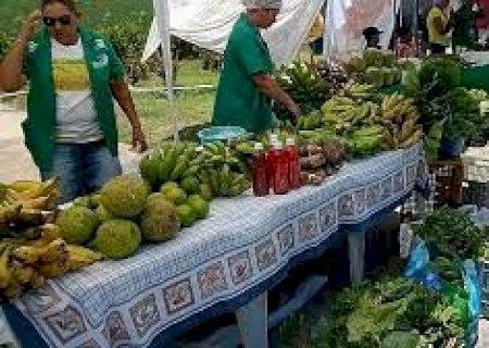 Agricultura familiar abastece mais de 70% da população de Pernambuco