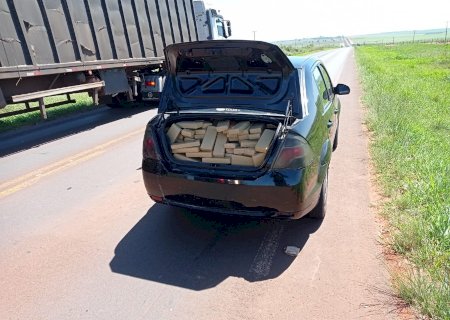 Novo Horizonte do Sul - POLÍCIA MILITAR RODOVIÁRIA APRENDE 335 QUILOS DE MACONHA