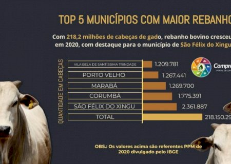 TOP 5 MUNICÍPIOS COM MAIOR REBANHO NO PAÍS, CONFIRA!