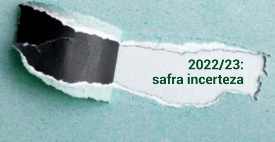 Próximos meses serão de grande tensão e expectativa para definição do início da safra canavieira 2022/23 na região Centro-Sul