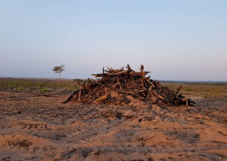 Mudança climática já afeta produção agrícola em 28% do Centro-Oeste