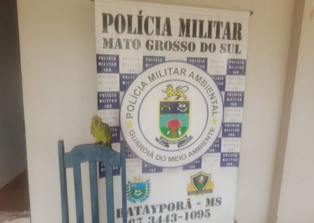 Polícia Militar Ambiental de Batayporã autua infrator em R$ 5 mil por criar ave ilegalmente encontrada pela Polícia Civil em ocorrência de tráfico de drogas