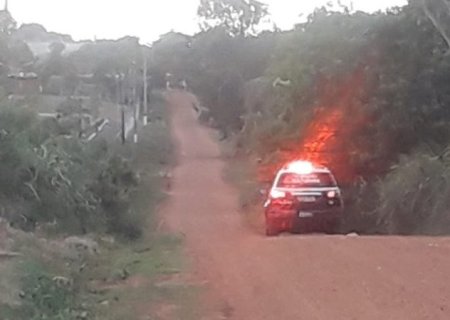 Ataque de abelhas deixa pelo menos 4 feridos no distrito de Culturama